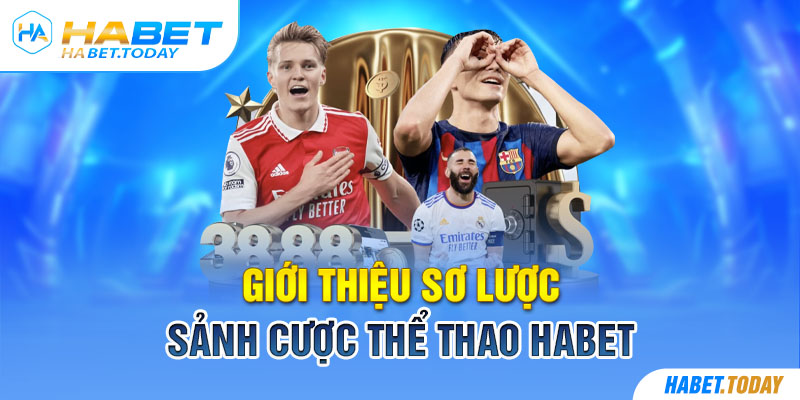 Đôi nét thông tin về địa chỉ giải trí thể thao Habet