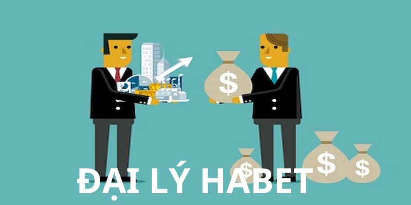 Những lưu ý quan trọng mà đại lý habet không thể bỏ lỡ